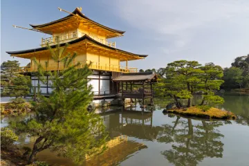 Japan's Debt Mountain Meets Its Demographic Cliff, OECD Warns