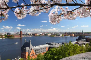 Sweden's Companies Call the Iran War a "New Black Swan" — But Are Holding Their Ground