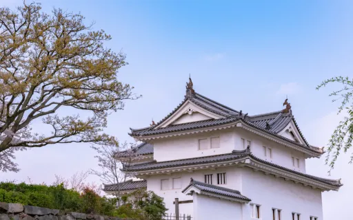 东京的通胀刚刚给了日本银行迄今最有力的再次加息理由