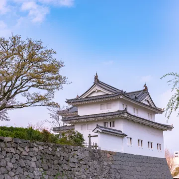Tokyo's Inflation Just Handed the Bank of Japan Its Strongest Case Yet for Another Hike
